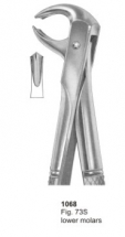  Fig. 73S lower molars 